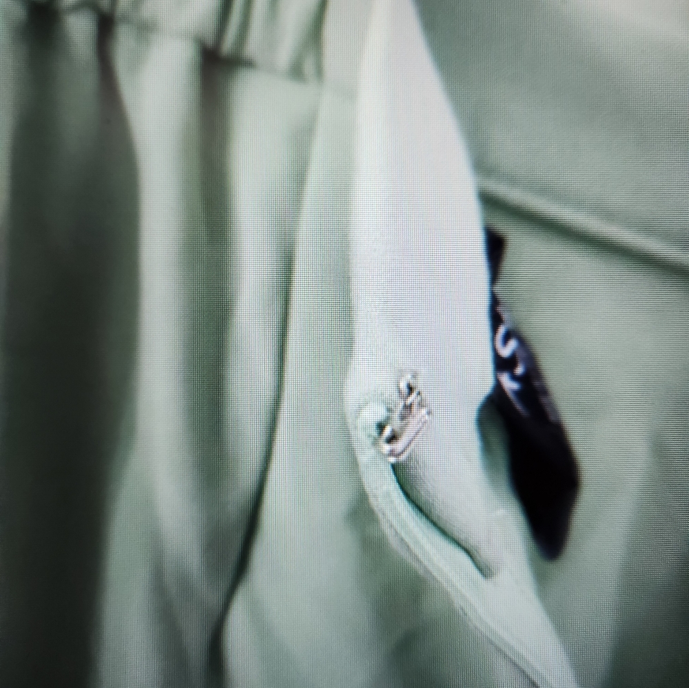 Spring Green Pantsuit - Picture 6 of 9